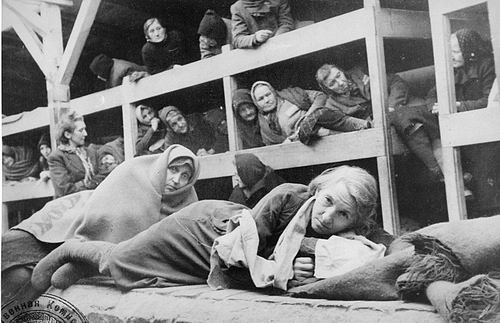 Daily Life in a Concentration Camp | theholocaust1945